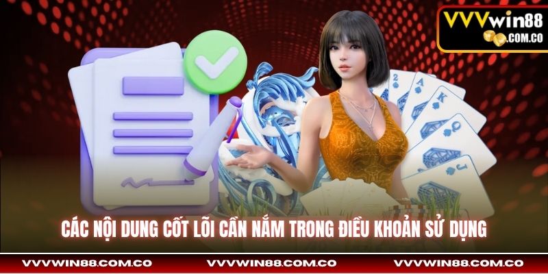 Các nội dung cốt lõi cần nắm trong điều khoản sử dụng