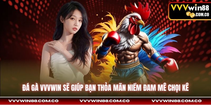 Đá gà Vvvwin sẽ giúp bạn thỏa mãn niềm đam mê chọi kê
