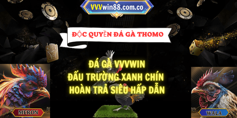 Đá gà VVVwin